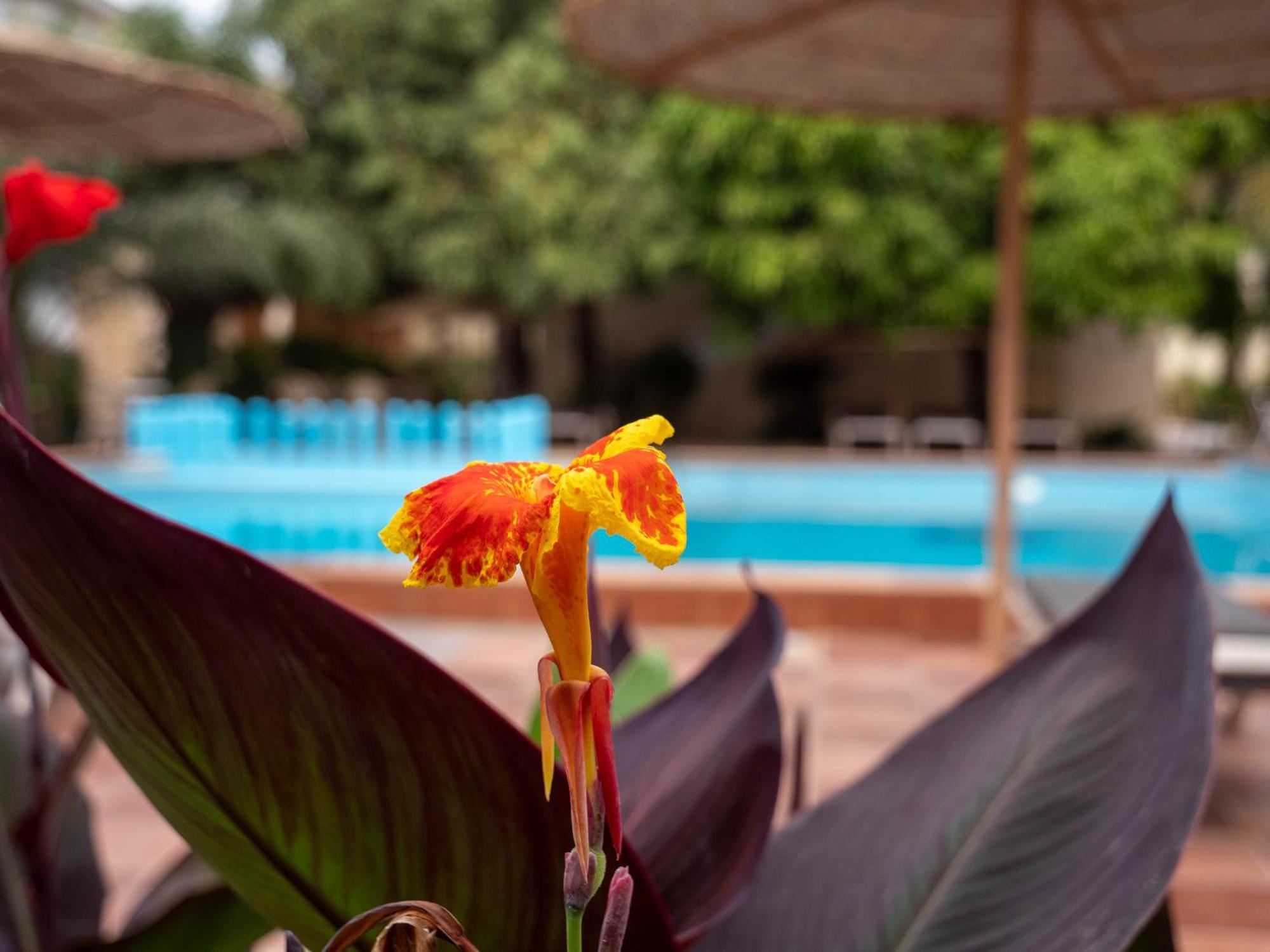 Cape Point Hotel Bakau المظهر الخارجي الصورة
